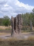 Termitenhügel am Arnhem Hwy